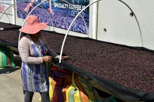 Afficionado Coffee
